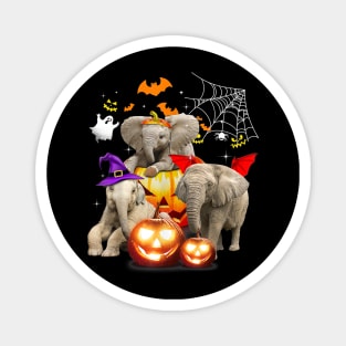 Funny Witch Three Elephants Halloween Elephant Lover Gifts Magnet